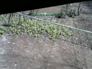 長野県菅平高原 ゆたか山荘 駐車場 2026/04/19 11:15