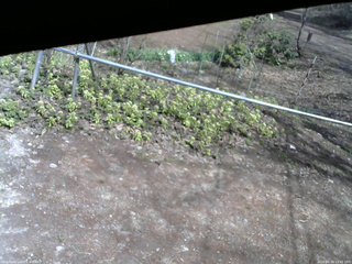 長野県菅平高原 ゆたか山荘 駐車場 2026/04/19 13:45