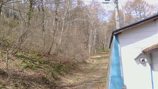 長野県菅平高原 ゆたか山荘 ゆたか山荘 2026/04/19 10:00