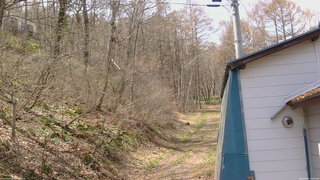 長野県菅平高原 ゆたか山荘 ゆたか山荘 2026/04/19 12:00