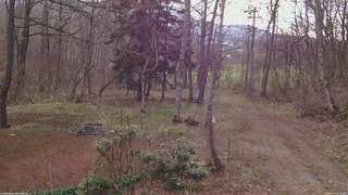 長野県菅平高原 ゆたか山荘 坂上 2026/04/19 07:30