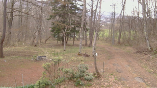 長野県菅平高原 ゆたか山荘 坂上 2026/04/19 08:15