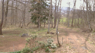 長野県菅平高原 ゆたか山荘 坂上 2026/04/19 08:30