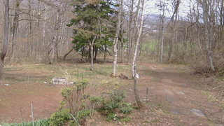 長野県菅平高原 ゆたか山荘 坂上 2026/04/19 13:30