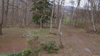 長野県菅平高原 ゆたか山荘 坂上 2026/04/19 16:45