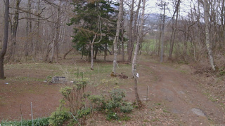長野県菅平高原 ゆたか山荘 坂上 2026/04/19 17:00