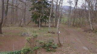 長野県菅平高原 ゆたか山荘 坂上 2026/04/19 17:15
