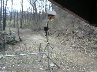 長野県菅平高原 ゆたか山荘 南側 2026/04/20 08:00