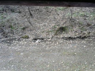 長野県菅平高原 ゆたか山荘 東側(坂下) 2026/04/20 09:00