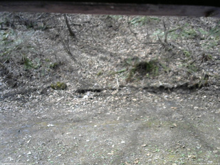 長野県菅平高原 ゆたか山荘 東側(坂下) 2026/04/20 09:15