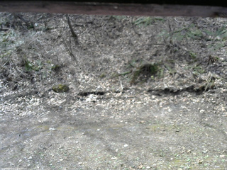 長野県菅平高原 ゆたか山荘 東側(坂下) 2026/04/20 10:00