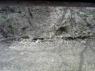 長野県菅平高原 ゆたか山荘 東側(坂下) 2026/04/20 10:30