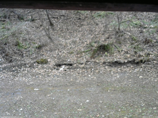 長野県菅平高原 ゆたか山荘 東側(坂下) 2026/04/20 11:15