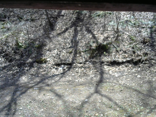 長野県菅平高原 ゆたか山荘 東側(坂下) 2026/04/20 12:00