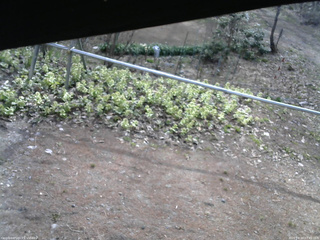 長野県菅平高原 ゆたか山荘 駐車場 2026/04/20 07:45