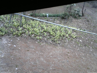 長野県菅平高原 ゆたか山荘 駐車場 2026/04/20 09:00