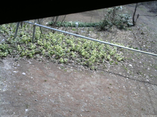 長野県菅平高原 ゆたか山荘 駐車場 2026/04/20 10:00