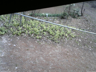 長野県菅平高原 ゆたか山荘 駐車場 2026/04/20 10:15