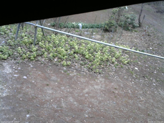 長野県菅平高原 ゆたか山荘 駐車場 2026/04/20 11:15