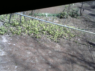 長野県菅平高原 ゆたか山荘 駐車場 2026/04/20 12:15