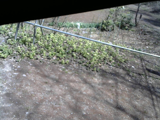 長野県菅平高原 ゆたか山荘 駐車場 2026/04/20 12:30