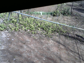 長野県菅平高原 ゆたか山荘 駐車場 2026/04/20 12:45