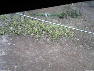 長野県菅平高原 ゆたか山荘 駐車場 2026/04/20 13:45