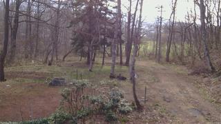 長野県菅平高原 ゆたか山荘 坂上 2026/04/20 07:00