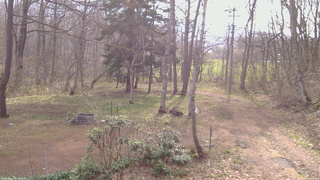 長野県菅平高原 ゆたか山荘 坂上 2026/04/20 08:00