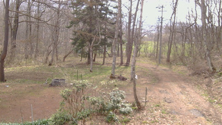 長野県菅平高原 ゆたか山荘 坂上 2026/04/20 08:15