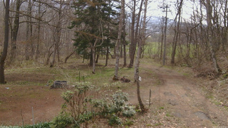 長野県菅平高原 ゆたか山荘 坂上 2026/04/20 08:30