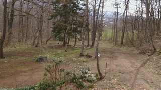長野県菅平高原 ゆたか山荘 坂上 2026/04/20 08:45
