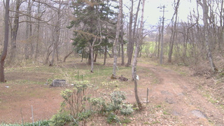 長野県菅平高原 ゆたか山荘 坂上 2026/04/20 09:00