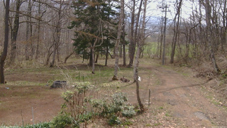長野県菅平高原 ゆたか山荘 坂上 2026/04/20 09:45