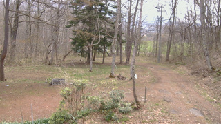長野県菅平高原 ゆたか山荘 坂上 2026/04/20 10:15