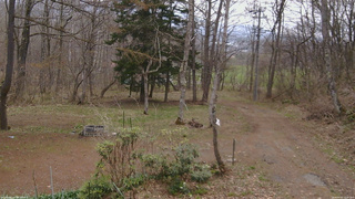 長野県菅平高原 ゆたか山荘 坂上 2026/04/20 10:45