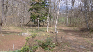 長野県菅平高原 ゆたか山荘 坂上 2026/04/20 13:30