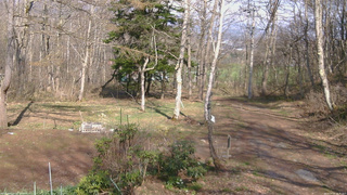 長野県菅平高原 ゆたか山荘 坂上 2026/04/20 14:45