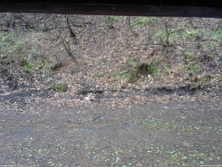 長野県菅平高原 ゆたか山荘 東側(坂下) 2026/04/21 08:00