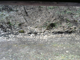 長野県菅平高原 ゆたか山荘 東側(坂下) 2026/04/21 10:00