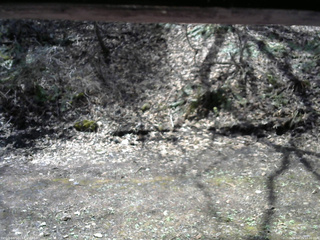長野県菅平高原 ゆたか山荘 東側(坂下) 2026/04/21 10:30