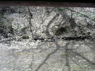 長野県菅平高原 ゆたか山荘 東側(坂下) 2026/04/21 11:00