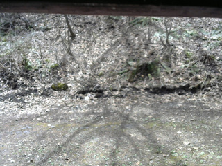 長野県菅平高原 ゆたか山荘 東側(坂下) 2026/04/21 11:15