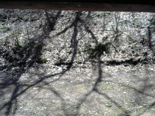 長野県菅平高原 ゆたか山荘 東側(坂下) 2026/04/21 12:00