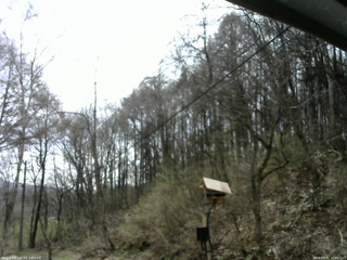 長野県菅平高原 ゆたか山荘 温度計 2026/04/21 10:00