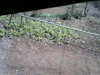 長野県菅平高原 ゆたか山荘 駐車場 2026/04/21 11:00