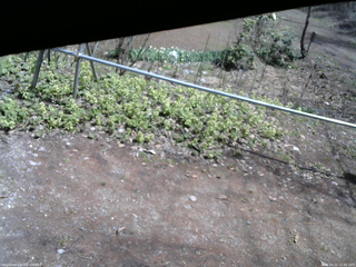 長野県菅平高原 ゆたか山荘 駐車場 2026/04/21 11:45
