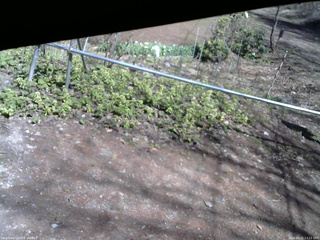 長野県菅平高原 ゆたか山荘 駐車場 2026/04/21 13:15