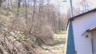 長野県菅平高原 ゆたか山荘 ゆたか山荘 2026/04/21 13:00