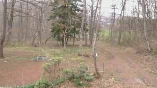 長野県菅平高原 ゆたか山荘 坂上 2026/04/21 05:45